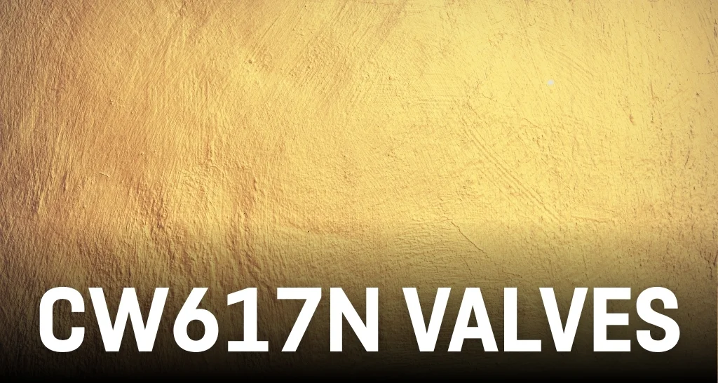 CW617N Valves.jpg