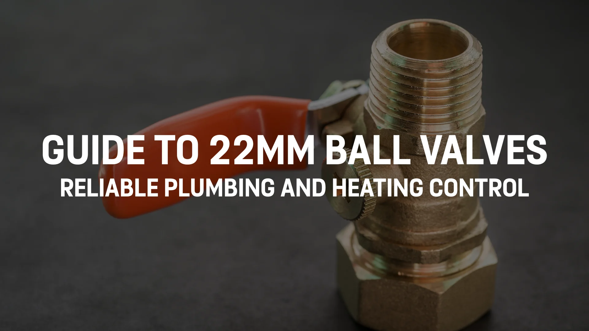 Guide to 22mm Ball Valves.png