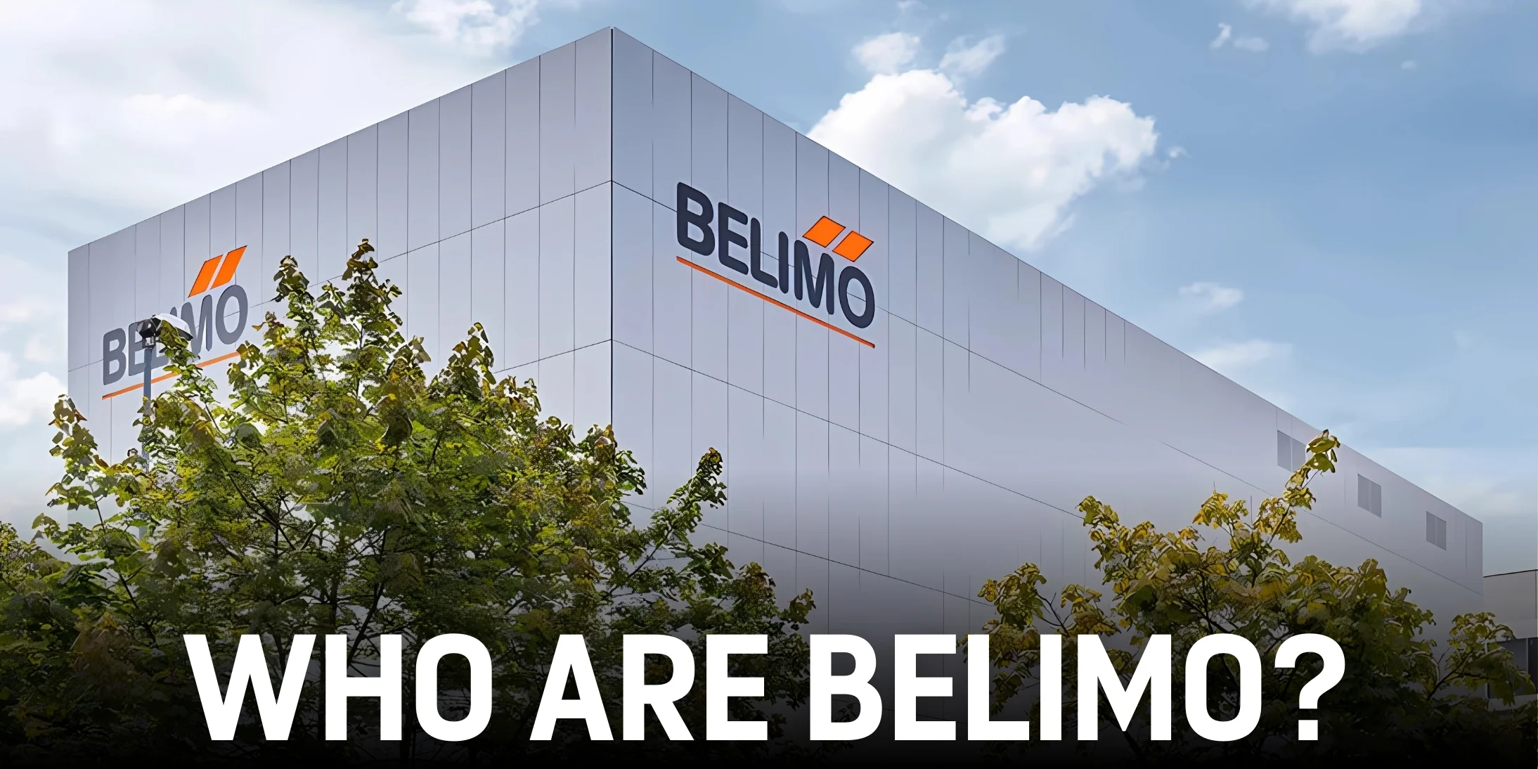 Who Are Belimo? Understanding the Global Leader in HVAC and Ball Valve Technology.jpg